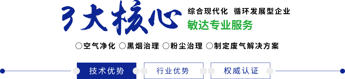 操逼视频网站淫水直流敏达环保科技（嘉兴）有限公司